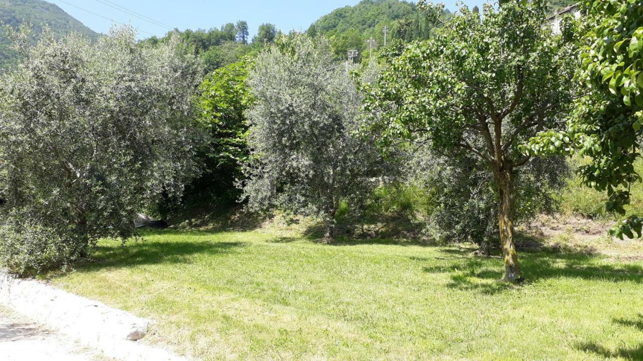 Casa Gina Garden And View By Gardadomusmea Villa Tremosine Exterior photo